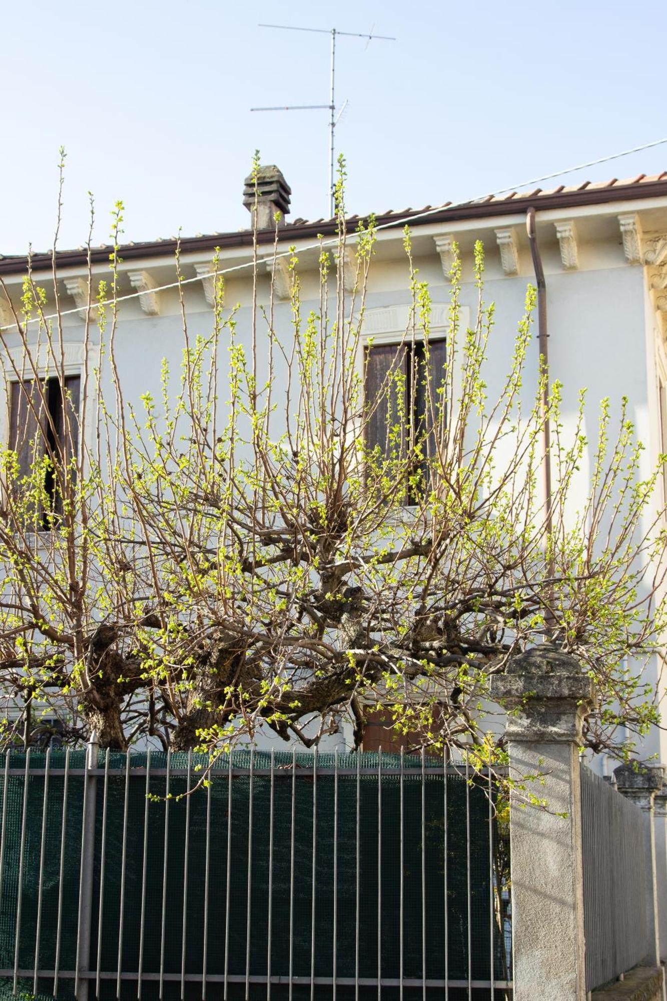 Verona Nest Exteriér fotografie